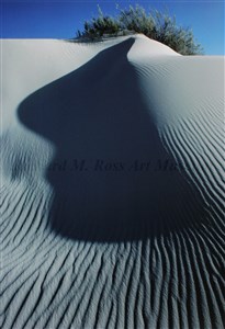 Image description is not available for 2012.083